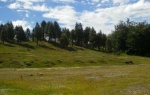 Galería